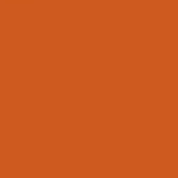 16980 Accent Dutch Orange Glossy