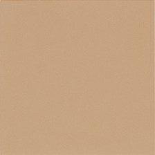 15040 Earth Brown Plain Matte