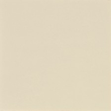 16620 Pearl White Plain Glossy