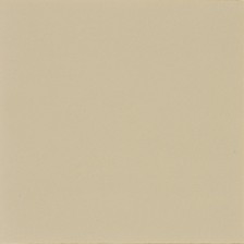 16630 Grey Beige Plain Glossy