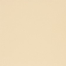 16680 Sand Yellow Plain Glossy