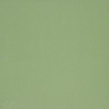16700 Olive Green Plain Glossy