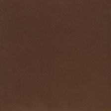 16800 Indian Brown Plain Glossy