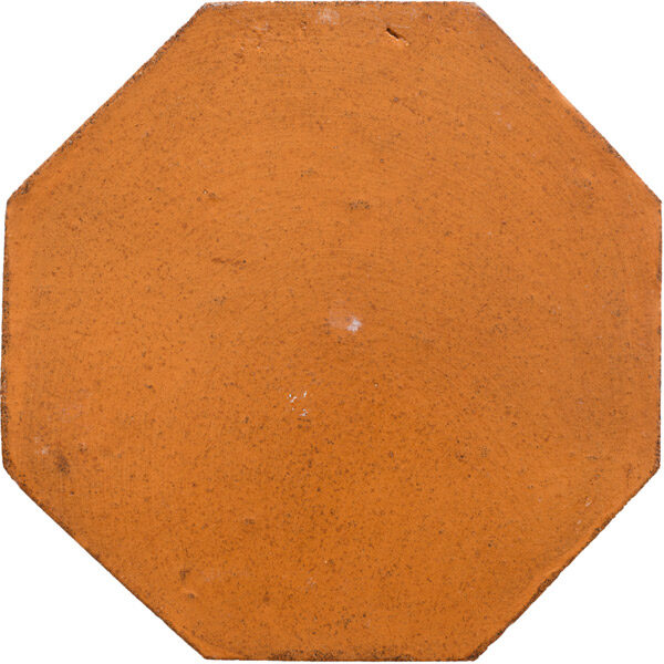 Naturalis Octagon Octagon Field Tile