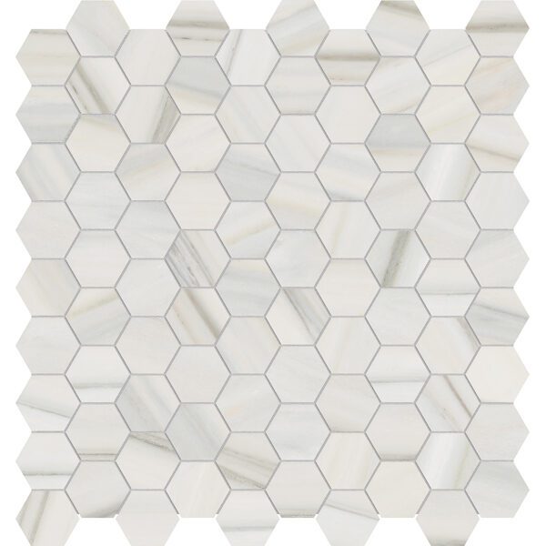 Zebrino Hexagon Mosaic