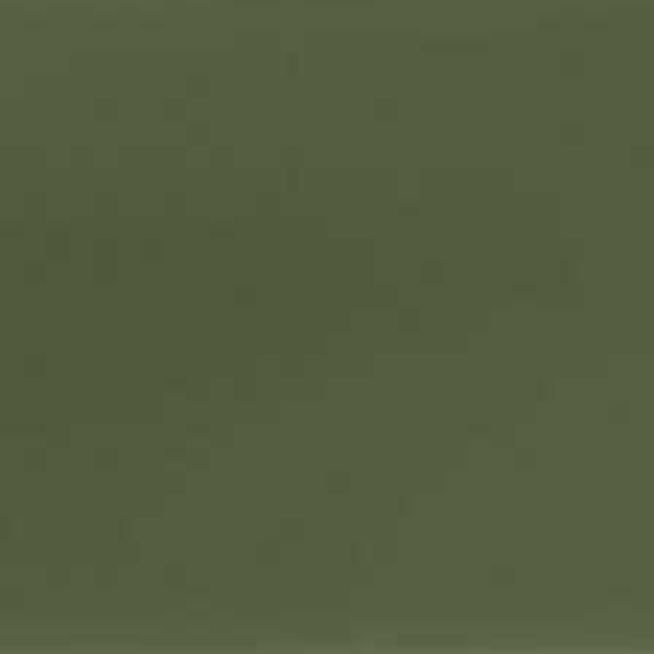 0610 Forest Green 