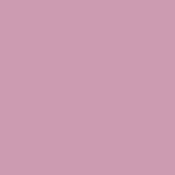 19930 Sea Pink