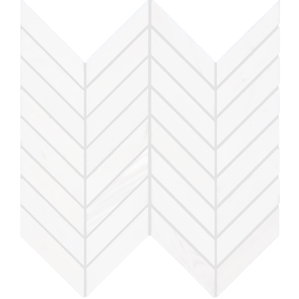 Insignia