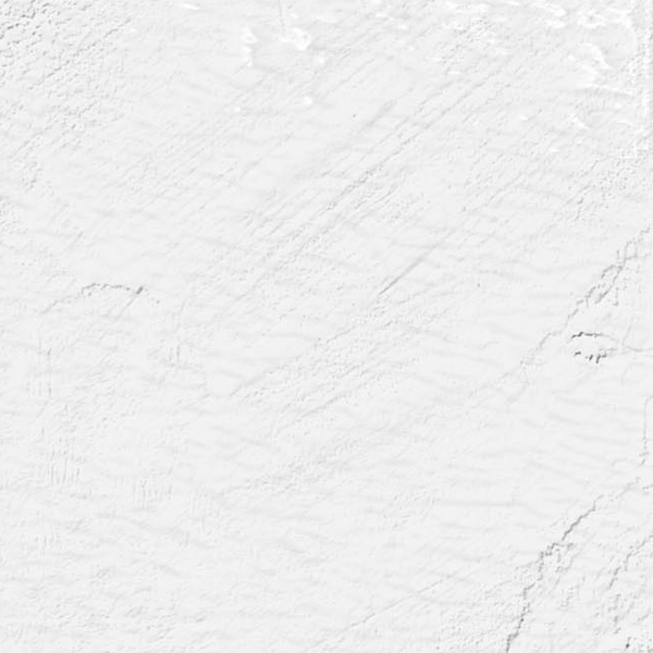 Artic