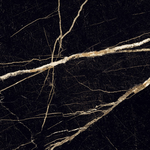 Marquina Shiny